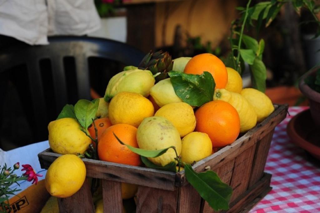 Agriturismo Del Pigato - Bio Vio Albenga Bilik gambar