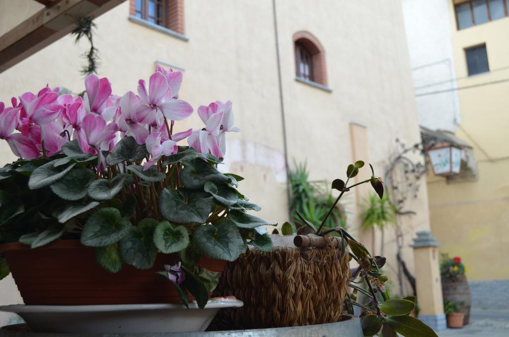 Agriturismo Del Pigato - Bio Vio Albenga Luaran gambar